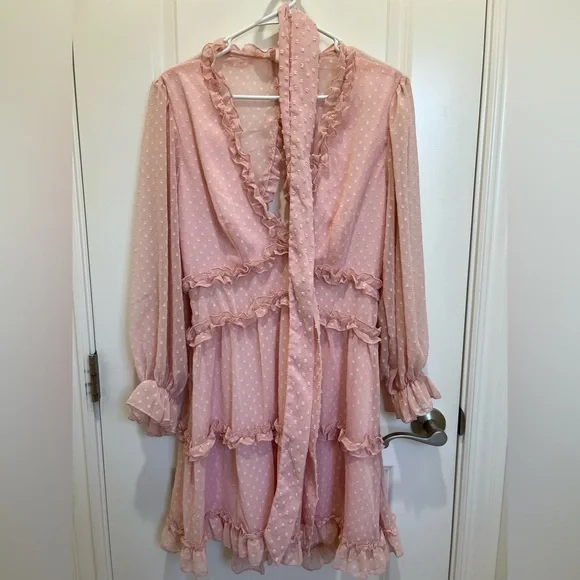 Dusty Pink Swiss Dot Mini Dress with Ruffles – Size Large - Picture 9 of 15